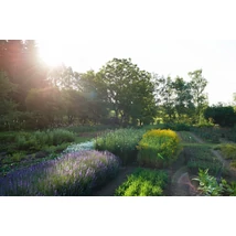 Dr. Hauschka 12 darabos képeslap szett